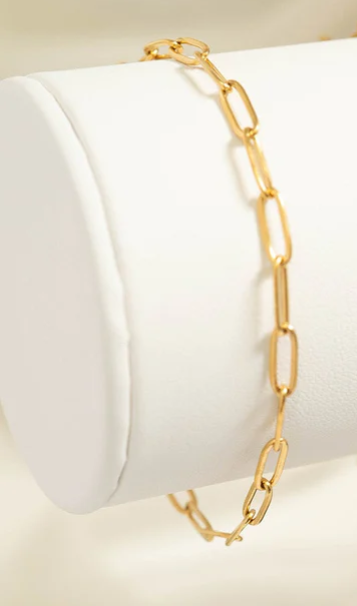 Anklet, Paperclip 18K PVD Stainless Steel Gold or Silver